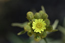 BUITEN BEELD Foto: 278062