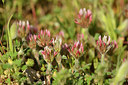 BUITEN BEELD Foto: 278064
