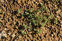 BUITEN BEELD Foto: 278068