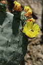 BUITEN BEELD Foto: 278073