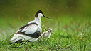 BUITEN BEELD Foto: 278077