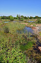 BUITEN BEELD Foto: 278090