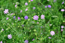 BUITEN BEELD Foto: 278091