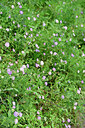 BUITEN BEELD Foto: 278092