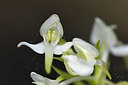 BUITEN BEELD Foto: 278109