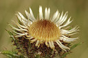 BUITEN BEELD Foto: 278133