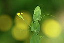 BUITEN BEELD Foto: 278185