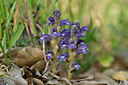 BUITEN BEELD Foto: 278205
