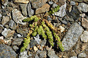 BUITEN BEELD Foto: 278236