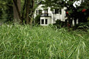 BUITEN BEELD Foto: 278268