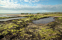 BUITEN BEELD Foto: 278282