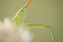 BUITEN BEELD Foto: 278326