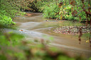 BUITEN BEELD Foto: 278465