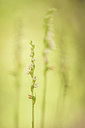 BUITEN BEELD Foto: 278475