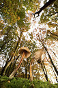 BUITEN BEELD Foto: 278491