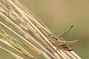 BUITEN BEELD Foto: 278570