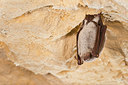 BUITEN BEELD Foto: 278573