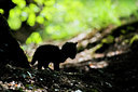 BUITEN BEELD Foto: 278613