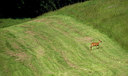BUITEN BEELD Foto: 278630