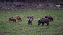BUITEN BEELD Foto: 278633