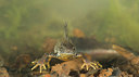 BUITEN BEELD Foto: 278716