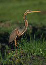 BUITEN BEELD Foto: 278855