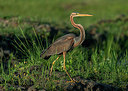 BUITEN BEELD Foto: 278856