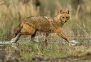 BUITEN BEELD Foto: 278872