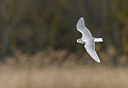 BUITEN BEELD Foto: 278883