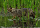 BUITEN BEELD Foto: 278977