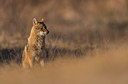 BUITEN BEELD Foto: 278993