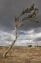 BUITEN BEELD Foto: 27003