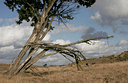BUITEN BEELD Foto: 27005
