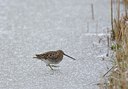 BUITEN BEELD Foto: 27086