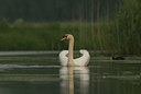 BUITEN BEELD Foto: 27184