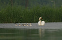 BUITEN BEELD Foto: 27186