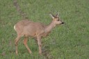BUITEN BEELD Foto: 27193