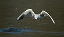 BUITEN BEELD Foto: 27220