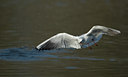 BUITEN BEELD Foto: 27221