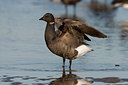 BUITEN BEELD Foto: 27230