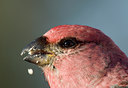 BUITEN BEELD Foto: 27251