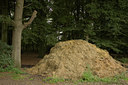 BUITEN BEELD Foto: 27269