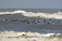 BUITEN BEELD Foto: 27287