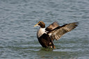 BUITEN BEELD Foto: 27291