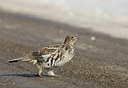 BUITEN BEELD Foto: 27322