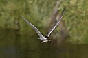 BUITEN BEELD Foto: 27349