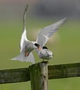 BUITEN BEELD Foto: 27356