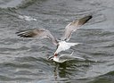 BUITEN BEELD Foto: 27359