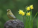 BUITEN BEELD Foto: 27374