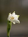 BUITEN BEELD Foto: 27450